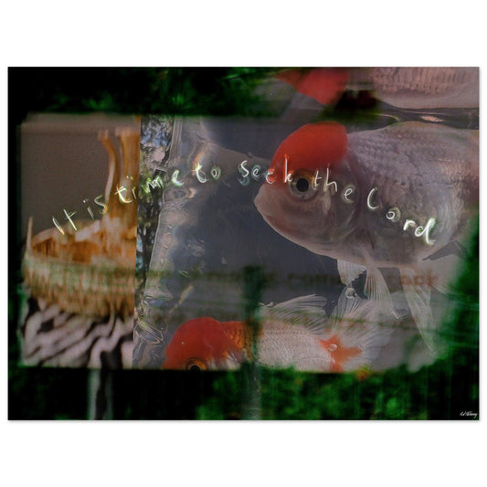 cda2b3cf-fdc2-44d6-88f6-3d695c87e436